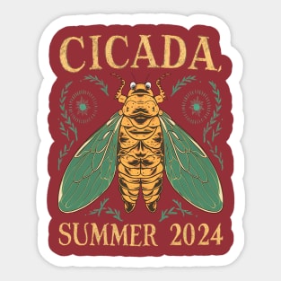 cicada summer 2024 Sticker